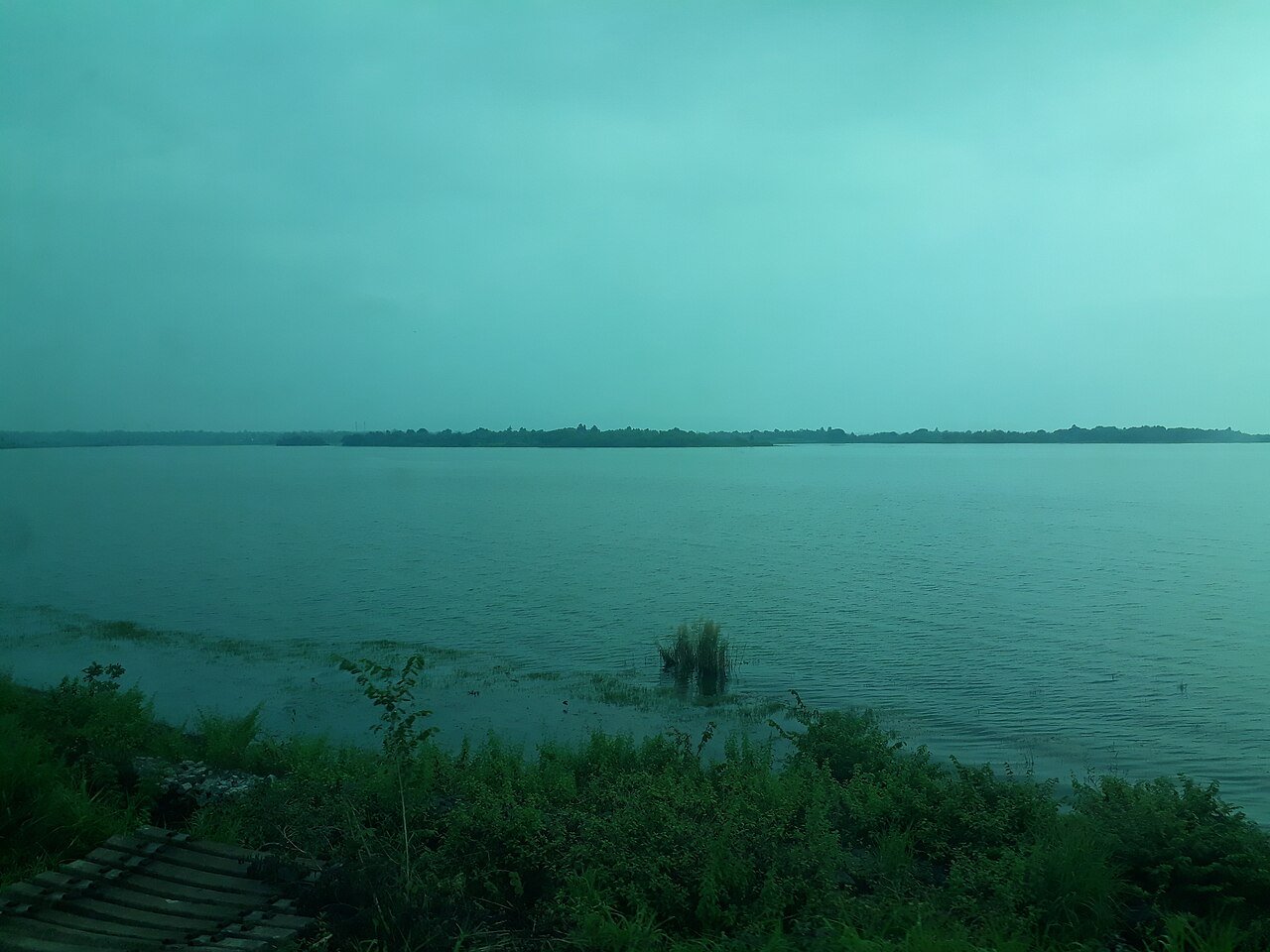 Chilika & Satapada
